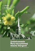 Zróżnicowa... - Anna Bordiuk, Andrzej Łysko, Agnieszka Popiela -  foreign books in polish 