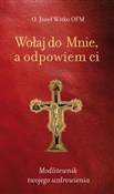 Wołaj do M... - Józef Witko -  foreign books in polish 