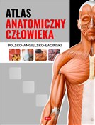 Atlas anat... - Opracowanie Zbiorowe -  books in polish 