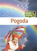 Pogoda - Iwona Wróbel -  foreign books in polish 