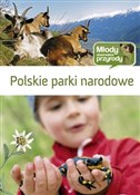 Polskie Pa... - Iwona Wróbel -  books from Poland