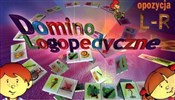 Polska książka : Domino log...