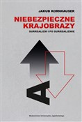 Niebezpiec... - Jakub Kornhauser -  books from Poland