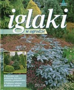 Picture of Iglaki w ogrodzie
