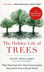 Obrazek The Hidden Life of Trees