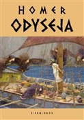 polish book : Odyseja - Homer