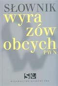 Słownik wy... - Lidia Wiśniakowska -  Książka z wysyłką do UK