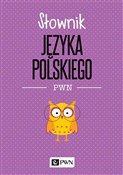 Słownik ję... - Lidia Drabik -  foreign books in polish 