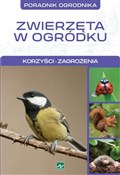 Polska książka : Natura Zwi... - Michał Mazik