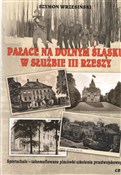 polish book : Pałace na ... - Szymon Wrzesiński