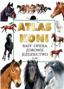 Polska książka : Atlas Koni... - Joanna Werner