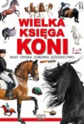 WIELKA KSI... - Joanna Werner -  foreign books in polish 
