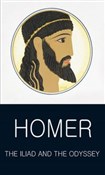 polish book : Iliad and ... - Homer