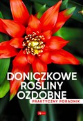 Doniczkowe... - Michał Mazik -  Polish Bookstore 