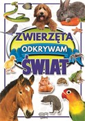 polish book : Zwierzęta ... - Joanna Werner