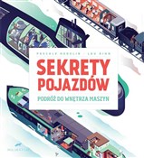 Sekrety po... - Lou Rihn, Pascale Hedelin -  Polish Bookstore 