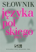 Słownik ję... - Lidia Drabik, Aleksandra Kubiak-Sokół, Elżbieta Sobol -  Książka z wysyłką do UK
