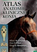 Atlas anat... -  books from Poland