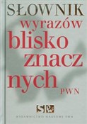 Słownik wy... -  books in polish 
