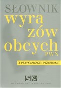 Słownik wy... - Opracowanie Zbiorowe -  books from Poland