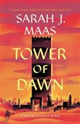 Polska książka : Tower of D... - Sarah J. Maas