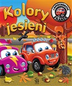 polish book : Samochodzi... - Karolina Górska