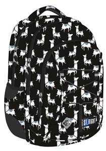 Picture of Plecak 3 komorowy Lama BP-32