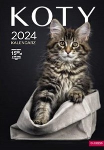 Picture of Kalendarz 2024 ścienny A3 Koty