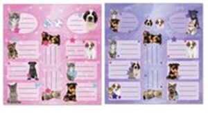 Picture of Naklejki na zeszyty