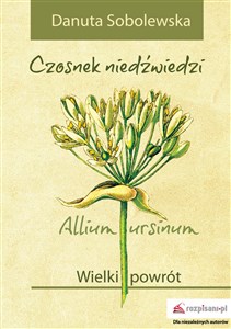 Picture of Czosnek niedźwiedzi - Allium ursinum Wielki powrót