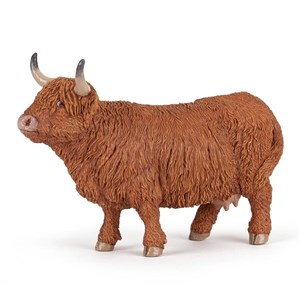 Obrazek Byk Highland Cattle