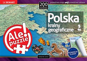 Picture of Puzzle 200 Polska Krainy geograficzne