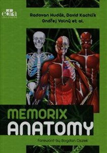 Obrazek Memorix Anatomy