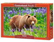 polish book : Puzzle Bea...