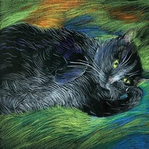 Obrazek Notes. Kot zamyślony