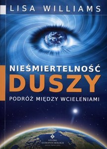 Obrazek Nieśmiertelność duszy Podróż między wcieleniami