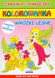 Picture of Wróżki leśne Kolorowanka Zabawa i naklejki