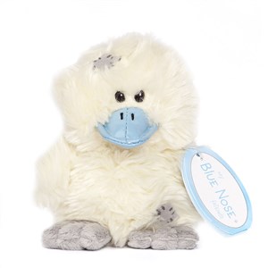 Picture of Niebieski nosek - kaczka Dilly