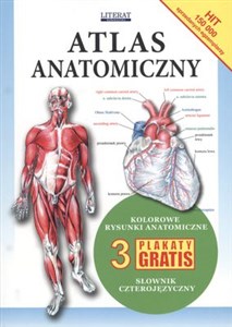 Obrazek Atlas anatomiczny
