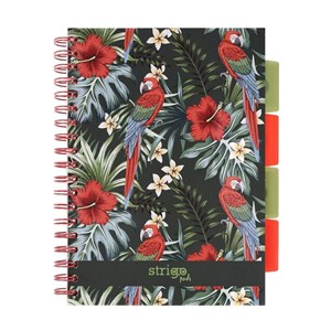 Picture of Kołozeszyt Strigo Pads Project Book B5 kratka Tropiki - Papuga