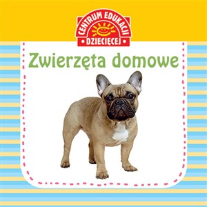 Obrazek Zwierzęta domowe