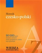 Słownik cz... - Janusz Siatkowski, Mieczysław Basaj -  foreign books in polish 