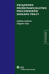 Obrazek Związkowe przedstawicielstwo pracowników zakładu pracy