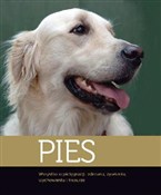 Pies Wszys... - Opracowanie Zbiorowe -  foreign books in polish 