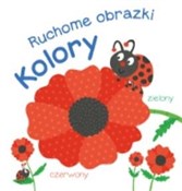 polish book : Ruchome ob... - Opracowanie Zbiorowe