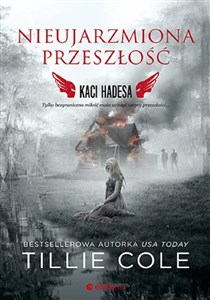 Obrazek Nieujarzmiona przeszłość Kaci Hadesa Tom 6