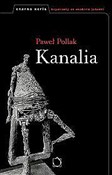 Kanalia - Paweł Pollak -  books from Poland
