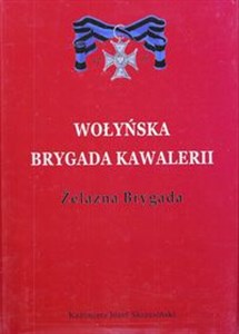 Obrazek Wołyńska Brygada Kawalerii Żelazna Brygada