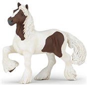 Ogier rasy... - Ksiegarnia w UK