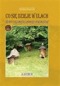 Co się dzi... - Michalina Stefanowska -  Polish Bookstore 